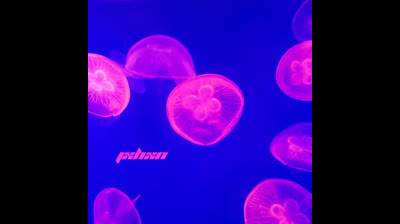 JXHXN - Dans ma Réalité