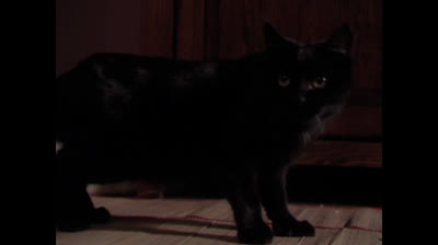 Embrujadas 3x17 Pre_embrujadas