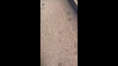 VERY REALISTIC MONUMENT