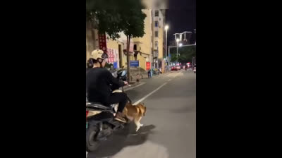 WHEN YOU SWITCH FROM SKATEBOARD TO MOTORCYCLE